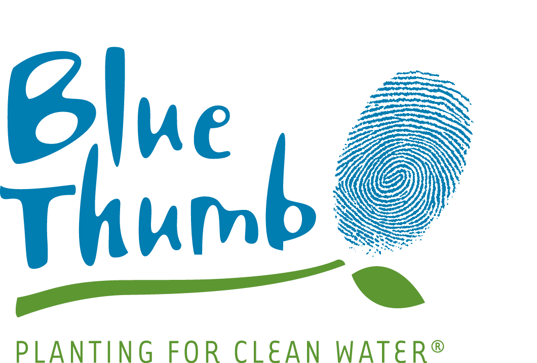(R) 2011 Blue Thumb logo2C