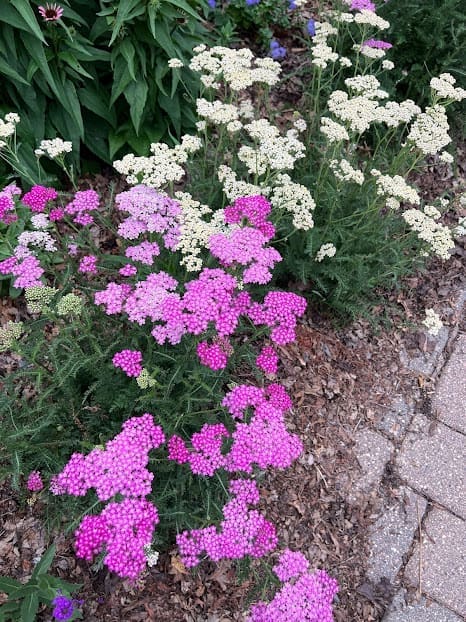 Gardeners & Landscape Contractors Serving St. Paul, MN