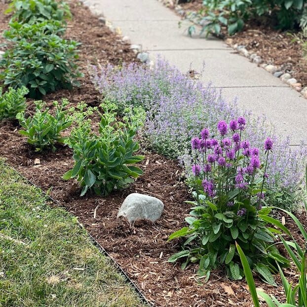 St. Paul, MN Garden Maintenance Service