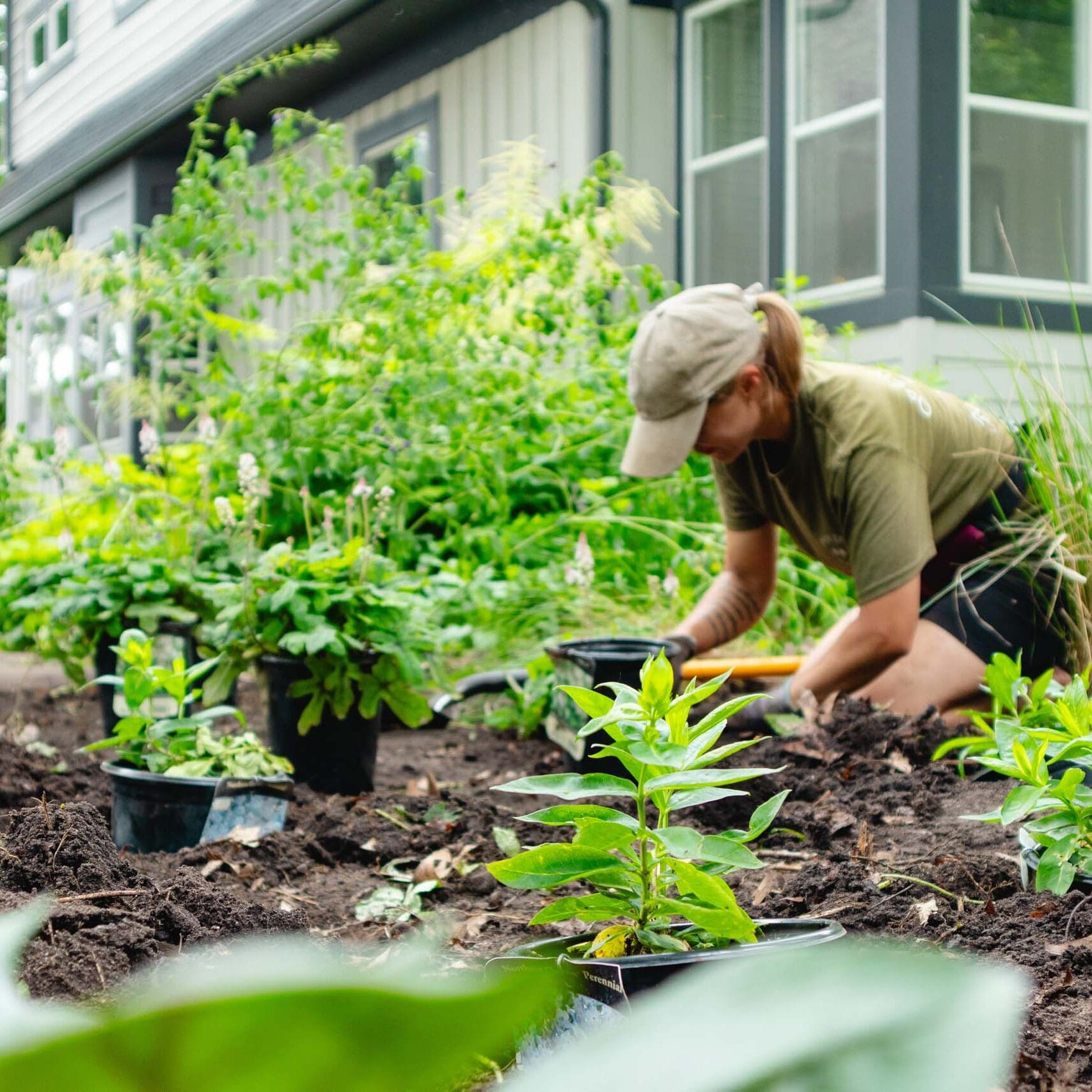 Edina, MN Sustainable Landscaping