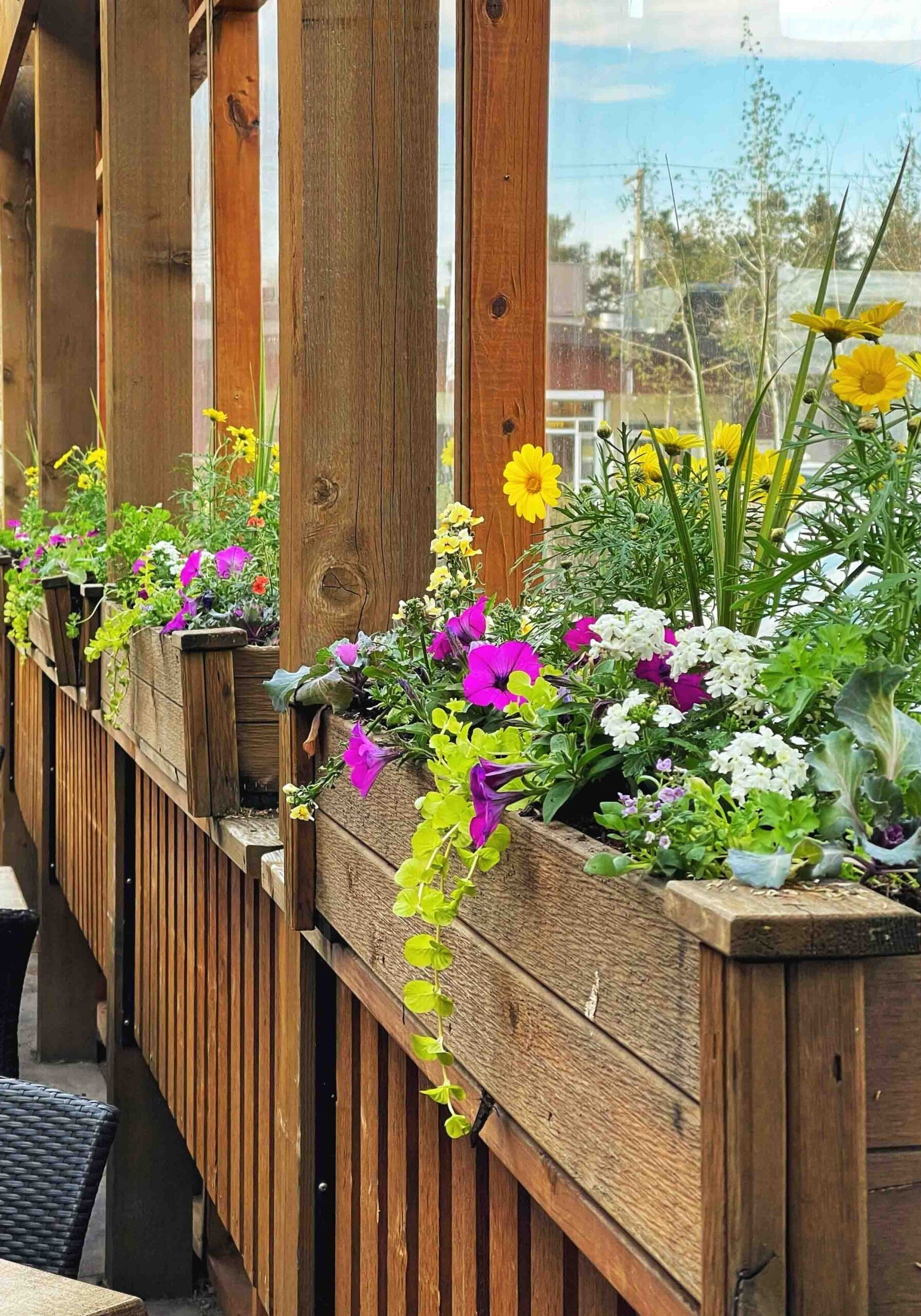 Golden Valley, MN Sustainable Landscaping Services