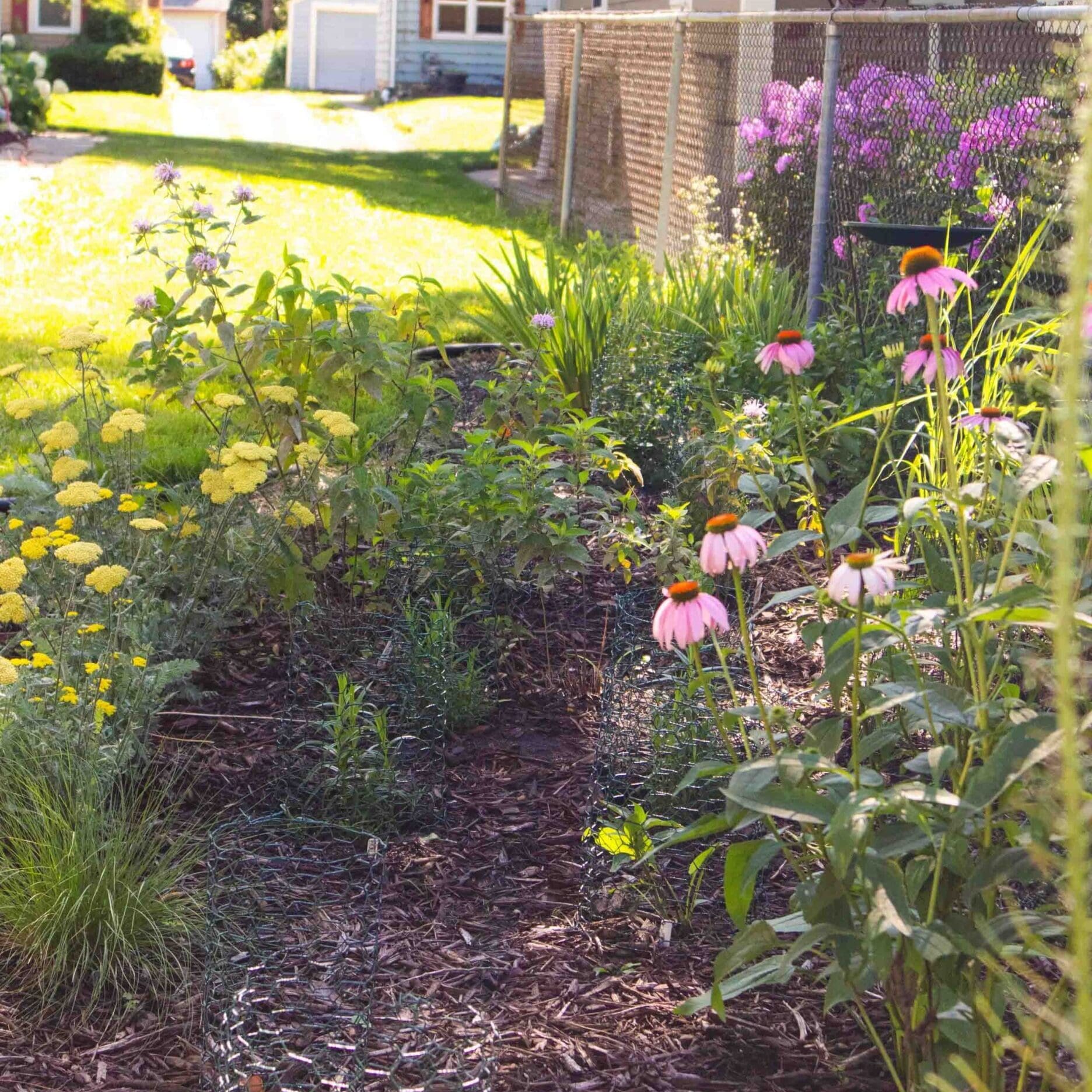 Gwen design - Susan Tjornehoj (2)