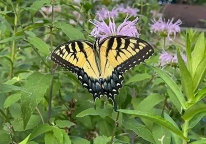 IMG_4590-mobile-hero