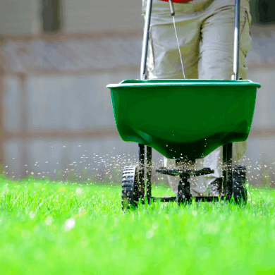 Screen Shot 2022-04-23 at 10.24.21 AM