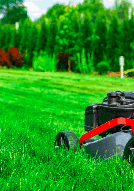 Screen Shot 2022-04-23 at 10.25.08 AM