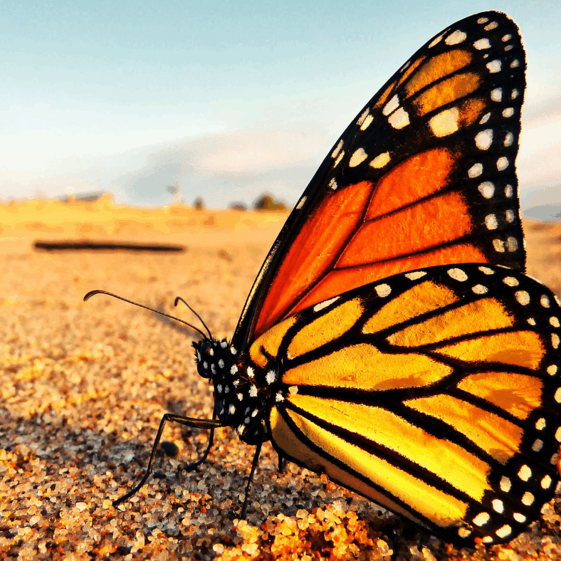 Untitled design (59)