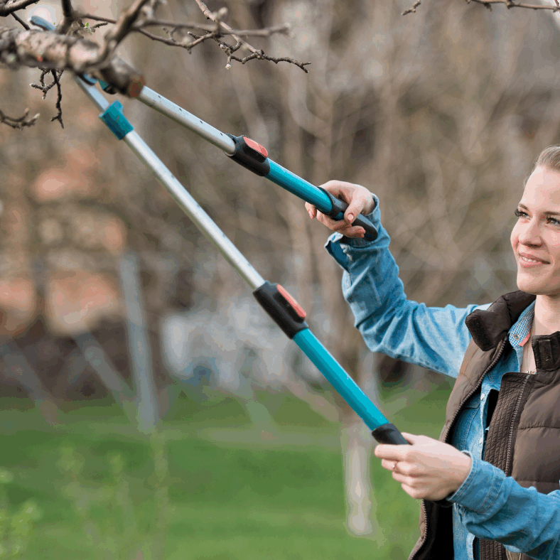 Untitled design (74)