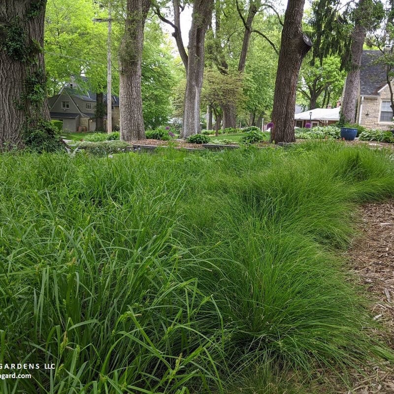 img-20200520-150314_orig