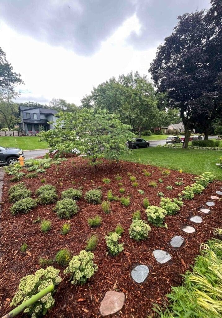 minneapolis-mn-sustainable-landscaping-companies